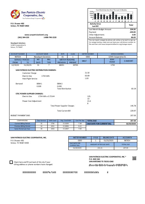 USA Texas San Patricio Electric Corporative business utility bill template in Word and PDF  formats